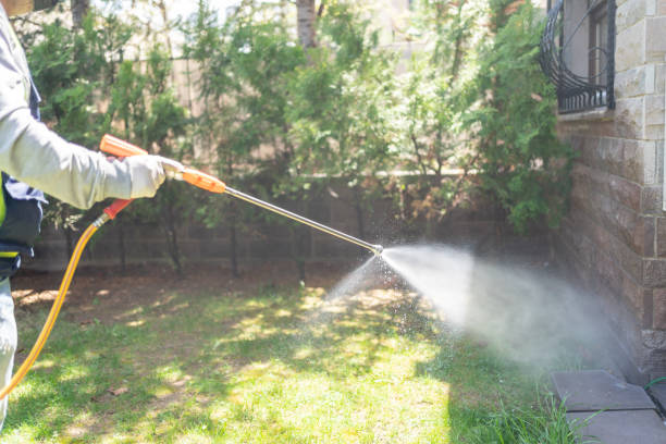 Insect Control in Kingston, NJ